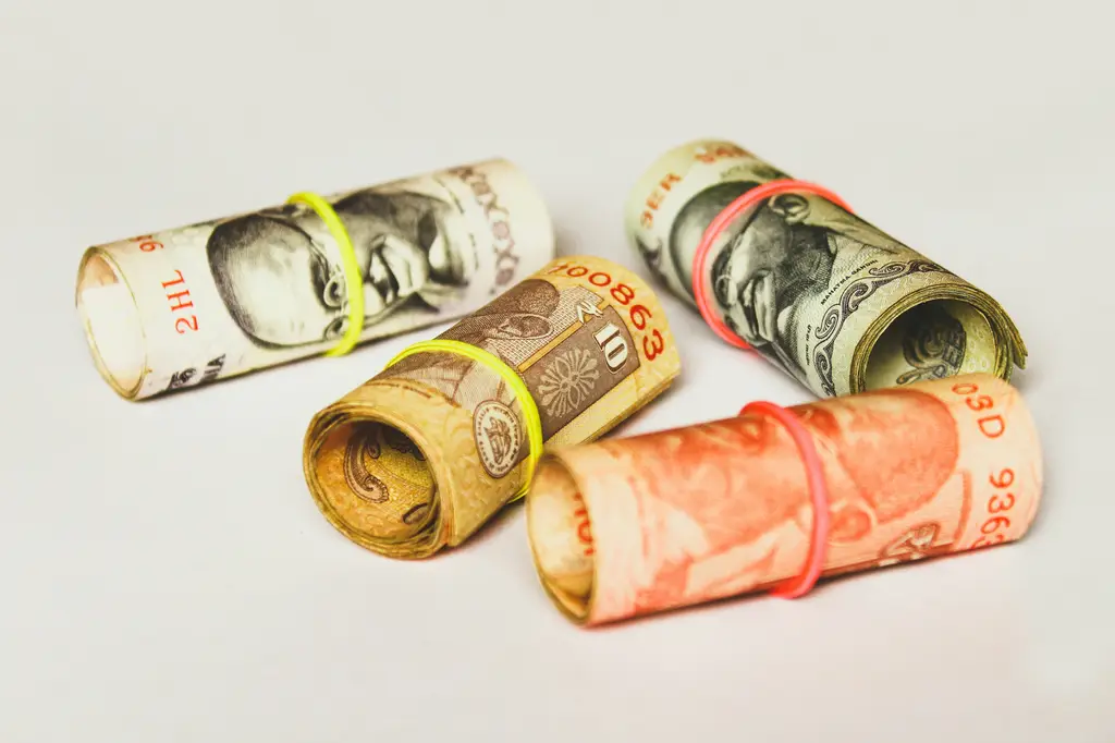 勞保明細查詢：掌握你的保障，安心規劃未來